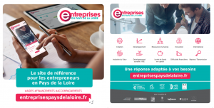 Visuel flyer entreprisespaysdelaloirefr