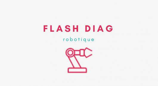 Flash Diag Robotique Industrielle